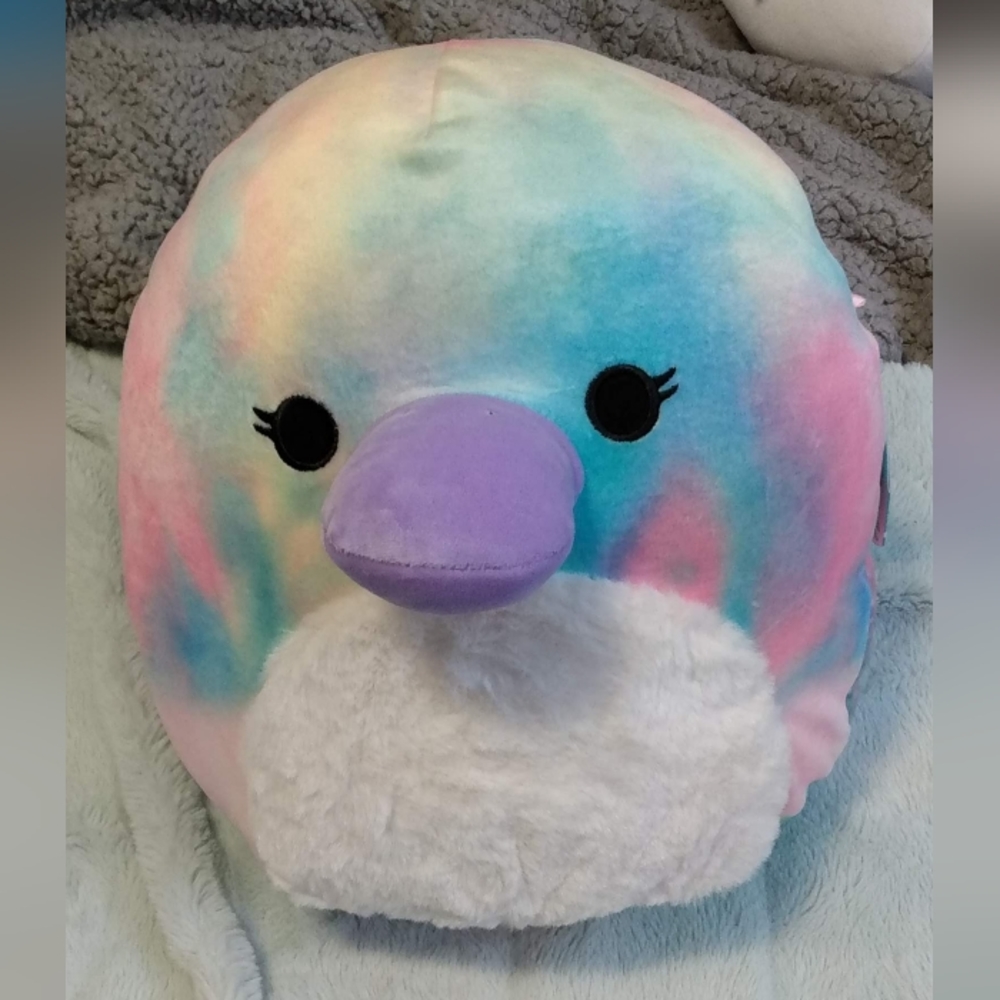 10" Platypus Squishmallow Brindall